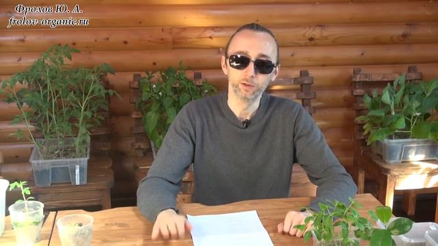 Картофель. История картошки. Выращивание картошки. Синеглазка. от Фролова Ю. А.