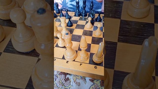 Игра в шахматы