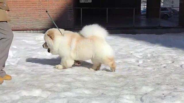 официоз смотреть онлайн