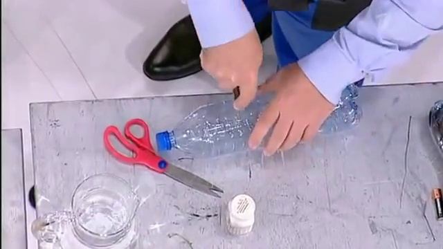 Дешево и сердито Свежая зелень - круглый год 09.11.12 смотреть онлайн