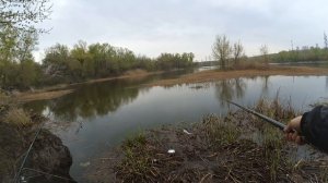 Ловля МАХОВОЙ удочкой на ПОПЛАВОК! Ловля МИРНОЙ рыбы ВЕСНОЙ! Globe new hunter 500