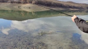 Силиконовые приманки КЕЙТЕЧ, лучшие из лучших, рабочие расцветки!