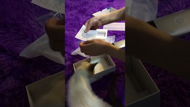 Распаковка видео камеры наблюдения смотреть онлайн