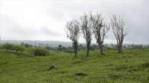 TIME LAPSE (Dominican Republic Nagua)