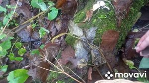 ❗В один из понедельников ноября❗ 13.11.2023 г. Курская область❗