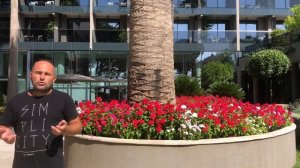 КАТАРАНТУС. Разнообразьте свой сад этим растением