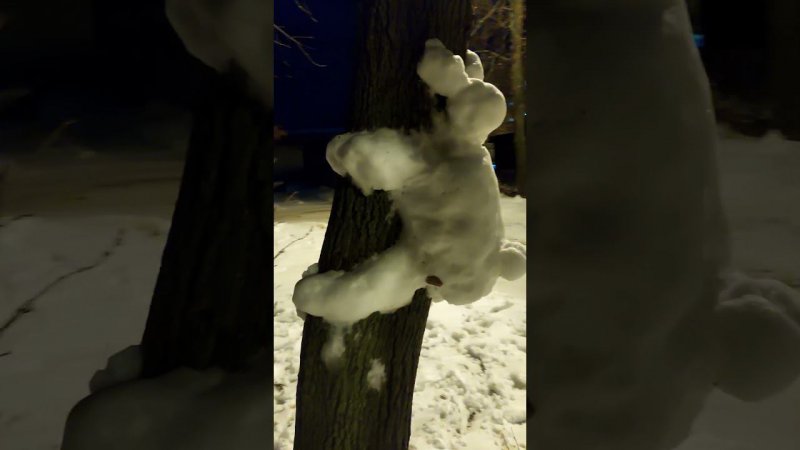 Снежный зайчик на дереве ☃️❄️