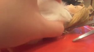 Барби NATALIA VODIANOVA. Коллекционная кукла БАРБИ. Распаковка. Обзор.