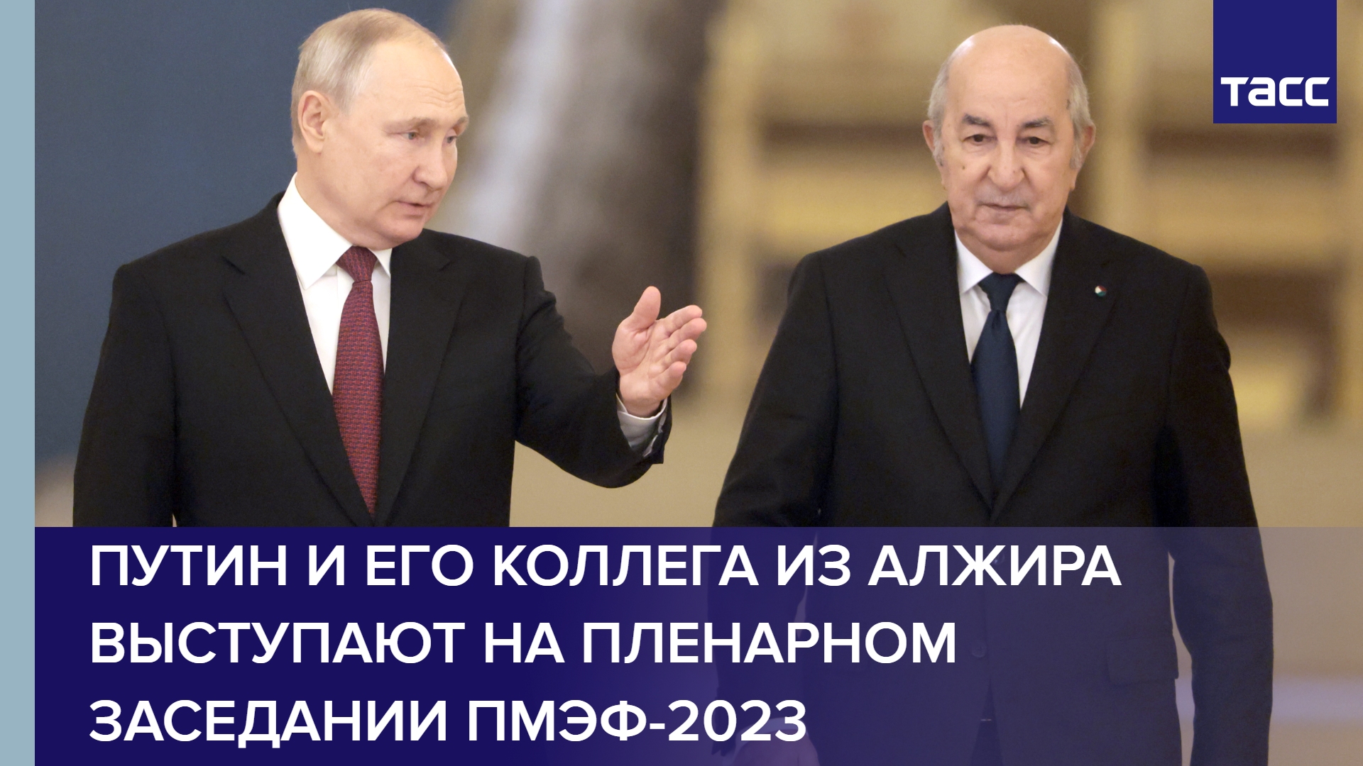 Путин и его коллега из Алжира выступают на пленарном заседании ПМЭФ-2023