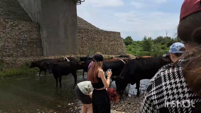 ? Рисуем на природе . Пленэр . Художники ?   #пленэр #художник #рисуемвместе