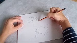 Как нарисовать лошадь коня. Рисунки животных для детей и начинающих