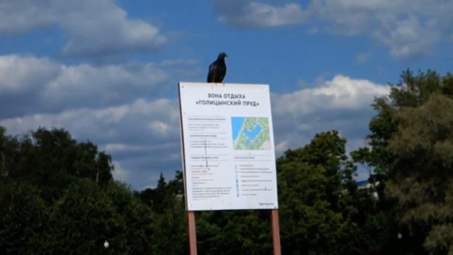 ЦПКиО им.Горького (Москва 2021) / Gorky Central Park of Culture and Leisure (Moscow 2021) смотреть онлайн