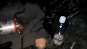 Охота на изюбря в период гона