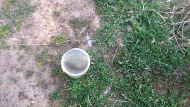 моя первая рыбка смотреть онлайн