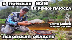 В поисках ЯЗЯ на речке Плюсса, Псковская область, август 2018