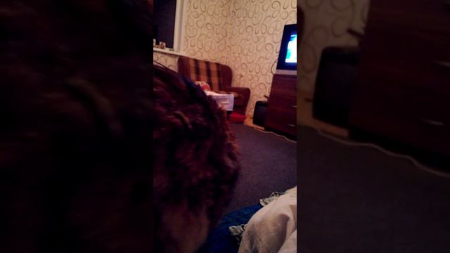 г.Москва, улица.Стартовая, дом 11. смотреть онлайн