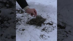 Разводим костер в сыром лесу с одной спички!!!