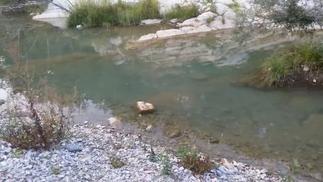 Шапсуга в Августе смотреть онлайн