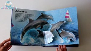 Азбукварик. Живая книга океана. Видео-обзор