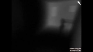 Первый Взгляд: Which