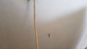 Холодильник выключается и не включается