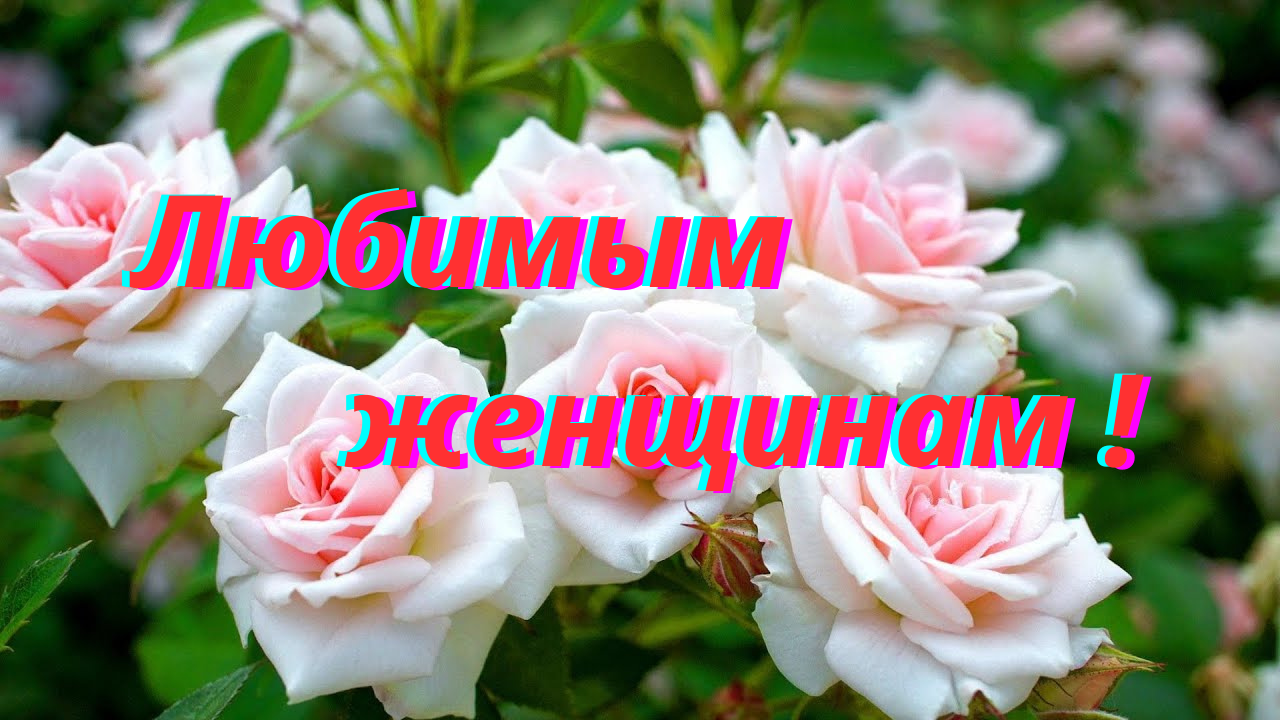 Песня дарите женщинам розы. Конец октября цветы сорт цветут. Открытки со средой. Розы от Татьяны на ВДНХ В Москве.