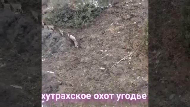 Республика Дагестан Цунтинский район село Хутрах#горы#туризм#02.03.2023г