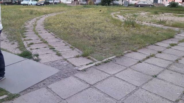 Французский бульдог Ася и кокетство как умею ? смотреть онлайн