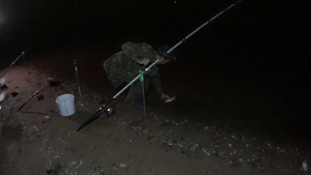 Отличный Клёв Сомов и подлещика На АЭС(Удомля).Нашли Золото!!!Удомельская Рыбалка! смотреть онлайн