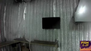 Разведение червей в гараже " Подрезной ящик"