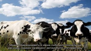Толкование снов: К чему снится картофель