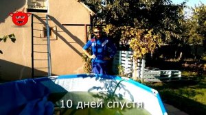 Марганцовка. Очистка воды в бассейне от водорослей и цветения. Обеззараживание, химия, зеленая вода