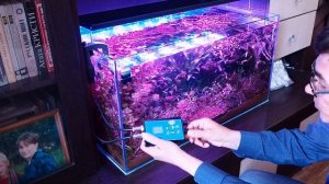 Обзор светодиодного аквариумного светильника LICAN LDP 800