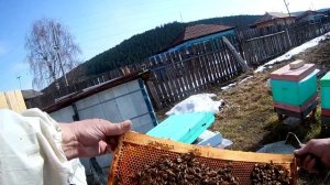 Зимовка в Рутах на одном корпусе без дотаций а сколько съели.Ревизия.