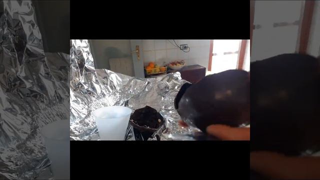 шоколадные яйца на пасху. заморозка хлеба. смотреть онлайн