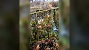 Родной край-часть большой страны