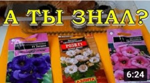 ЦВЕТЫ сезон 2021 (памятка-шпаргалка посевов)?⚘?⚘?