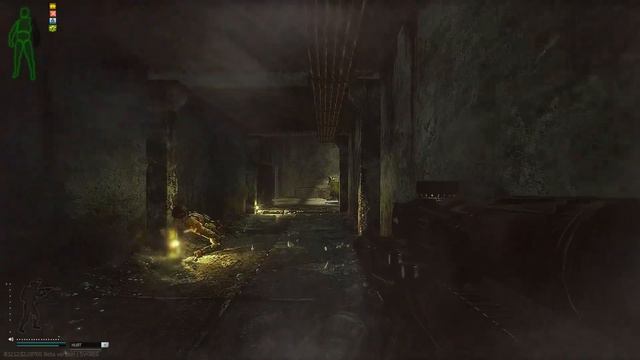 Losing my sanity in Escape from Tarkov смотреть онлайн