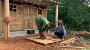 The Unexpected Gift: My Wife's Surprise Visit Led to 3 Adorable Puppies! Build a dog house together