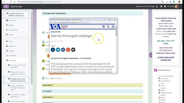 Vocabulary on Moodle: One example