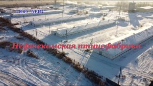 Нефтекамская птицефабрика 2021. Подробности