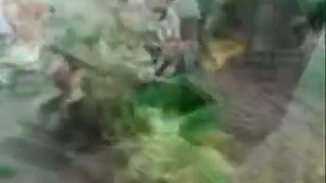 GEO.2010.MARINA BELA.PEMBUATAN KOMPOS смотреть онлайн