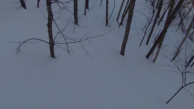 Timbersled riding Bashkortostan. По хребтам Куш -Тау 2. смотреть онлайн