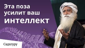 Делай это каждый день, чтобы усилить свой интеллект!