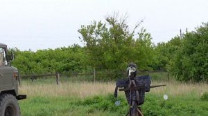 САПСАН-3 ОТ ЩУРОК / ДЕЙСТВУЕТ ИЛИ НЕТ / ПЧЕЛОЕДКИ ЛЮТУЮТ .