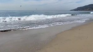 США Влог Океан осенью в Калифорнии Тихий океан Отдых на пляже Один день из жизни в Америке