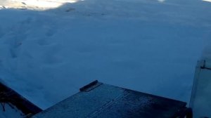 МОТОБУКСИРОВЩИК "БУРЛАК"!!КАК ЗАВОДИТСЯ В МОРОЗ?