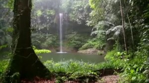 (Сура Ан-намль )__Шейх Маъмун ар-Рави