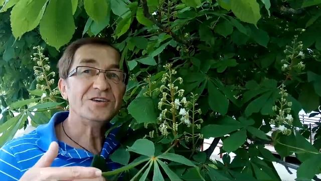 Вся правда про местную клубнику на рынках Анапы 2 мая смотреть онлайн