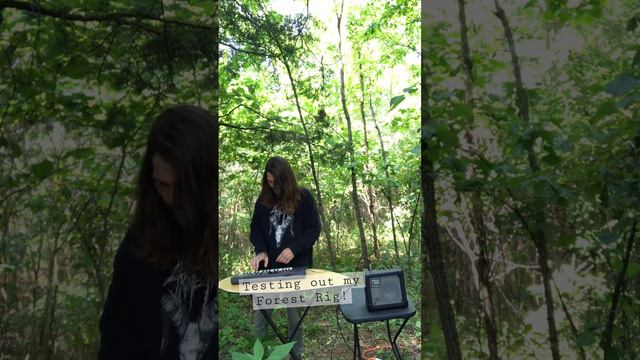 Forest Loops #fieldrecording #synth #dungeonsynth #naturesounds #asmrmusic #looping #wanderer